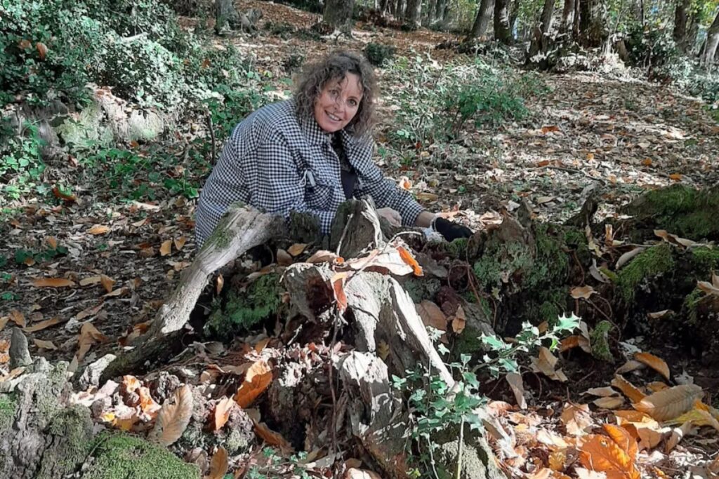 Judith Verberne, Quantum Hypnosis and Regression